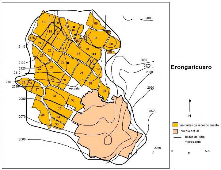 Figure 3. Map of the site of Erongarícuaro. Survey units (fields) are in yellow with their survey number. The modern town is included in the extent of the archaeological site. Courtesy of Dr.