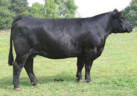 A Phyliss daughter commanded $18,000 in the Living Legacy sale going to the Canada family.