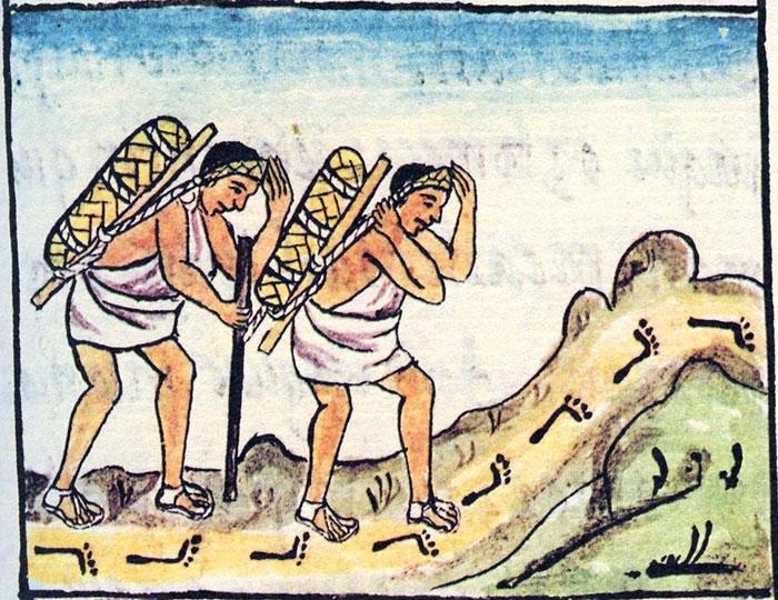 religion was part of everyday life. Priests were also responsible for developing Mayan science, like astronomy, and their language and teaching the children of nobility.