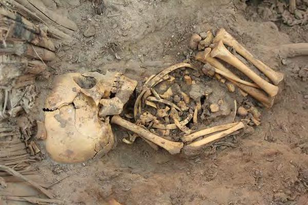 Dust to Dust Photograph courtesy Université libre de Bruxelles Arranged in the fetal position, this skeleton is among some 80 bodies discovered this spring in a vast Peruvian tomb the largest yet