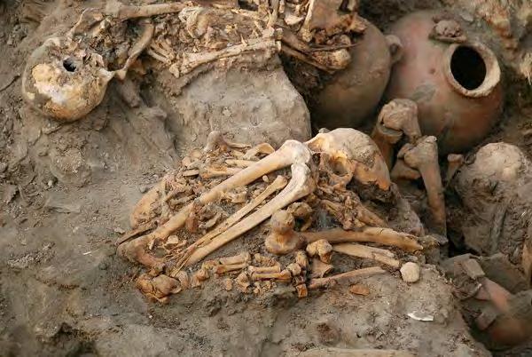 Bundled Bodies Photograph courtesy Université libre de Bruxelles The adult dead in the newfound tomb were found in the fetal position, which may have represented "some kind of rebirth" to the Ychsma,