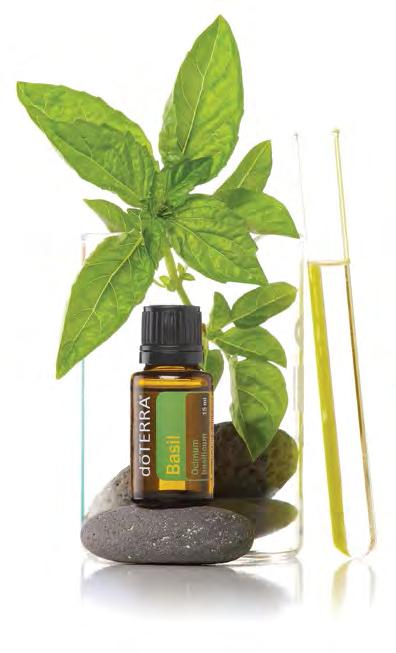 Essential oils have been used throughout history in many cultures for their medicinal and therapeutic benefits.