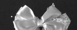 Satin Bow with Lace Circle, Pearls, and Ribbon Rose Construction steps: Back view: Note: This bow was tied to the barrette.