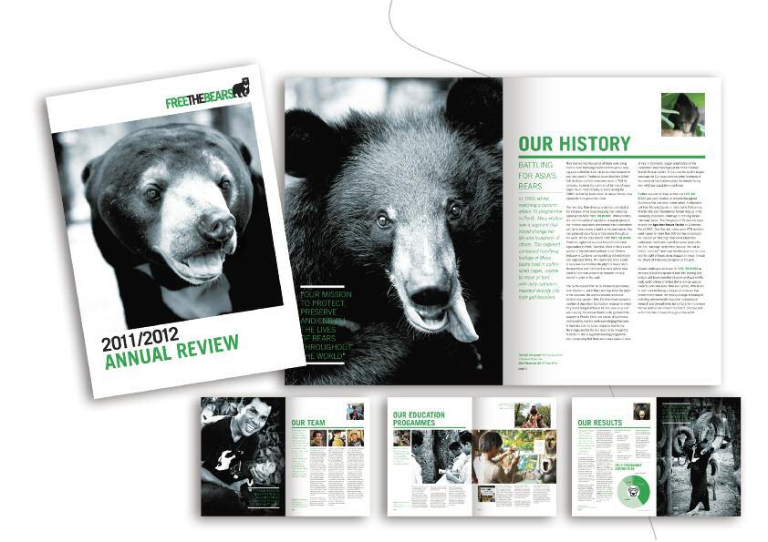 Project: Design for Annual Review for Free The Bears Fund, Cambodia.