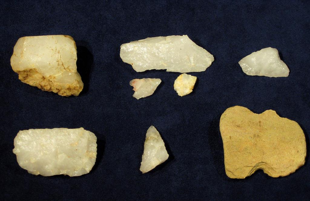 Figure 31. Select prehistoric artifacts found in the project area.