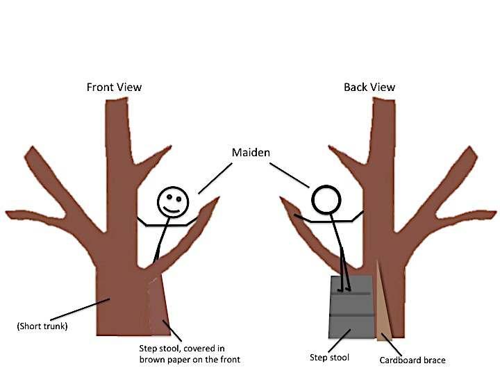 To make the freestanding climbing tree: You can make this from cardboard, cutting out a tree with a short stump and one wide space created in the branches, for MAIDEN to stand between.