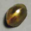 The color of the resulting cultured pearl is directly related to the original location of the tissue in the donor mollusk.
