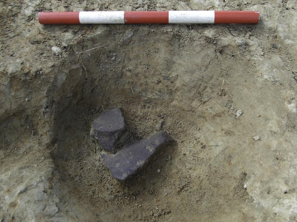 Fig. 9: Prehistoric pottery in posthole [252], looking south. Scale 0.
