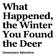 What Happened, the Winter You Found the Deer. Genevieve Valentine