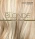 Swatch Manual. The Art of Blonding, Simplified
