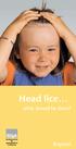 Head lice what should be done?