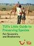 TUI s Little Guide to Preserving Species Fair Souvenirs and Biodiversity
