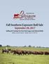 Fall Southern Exposure Bull Sale