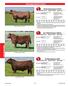 - Red Angus Reference Sires -