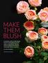 Make Blush. By Katie Hendrick