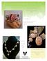 Fossilized Coral. Intricate Gems from the Sea. Ammonite Fossils. History Is Beautiful. Lace Agates. Discover the Beauty of These Interesting Stones
