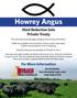 Howrey Angus. owery Angus. Herd Reduction Sale Private Treaty. For More Information. Ken Brubaker