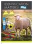Sheep Mini Tags. LPR Reader. Official Can. Sheep Identification Tag. Universal Total Tagger