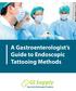 A Gastroenterologist s Guide to Endoscopic Tattooing Methods