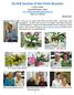 Orchid Society of the Palm Beaches P O Box Royal Palm Beach FL Find us on Facebook January 2015