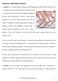 Manicure and Pedicure Basics