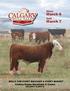 Show. March 6. Sale. March 7 BULLS FOR EVERY RANCHER & EVERY BUDGET. Century Downs Racetrack & Casino 2019 CALGARY BULL SALE CALGARY, ALBERTA